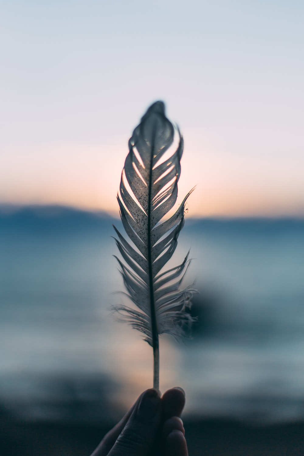 About image